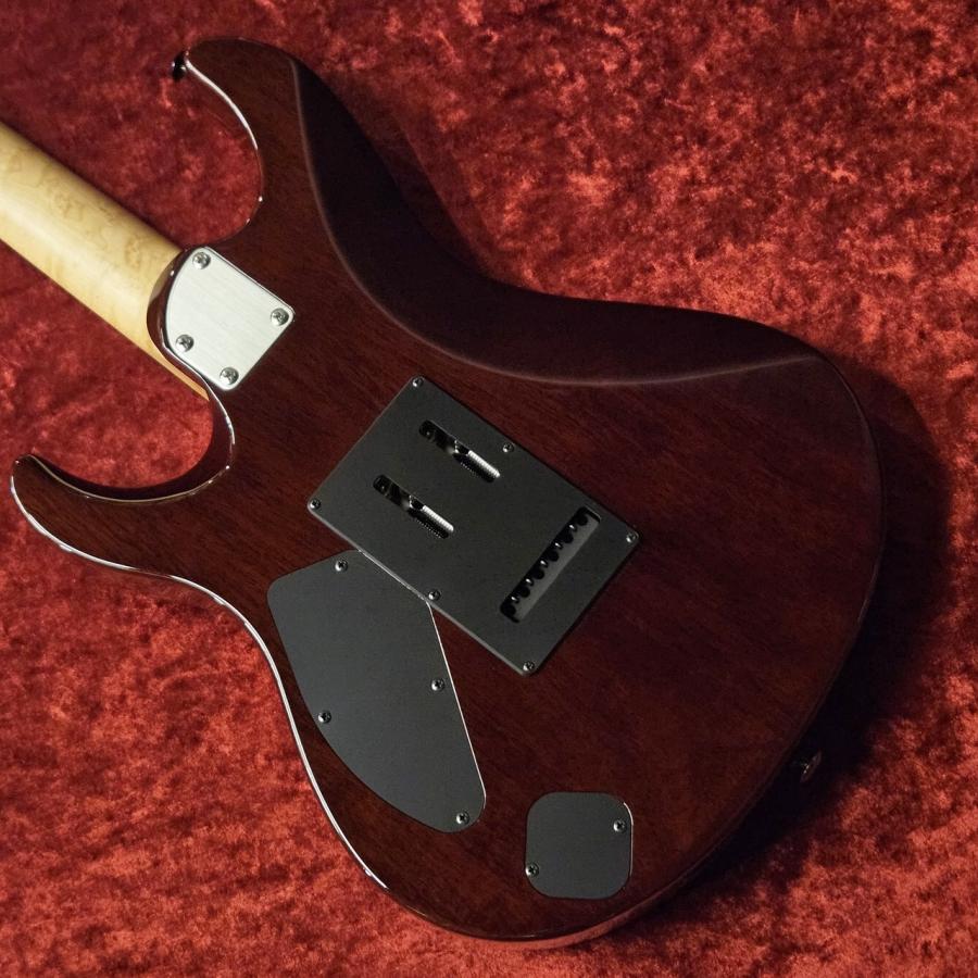 Black Smoker Futura-S HH -Dark Brown Burst-【G-CLUB 渋谷店