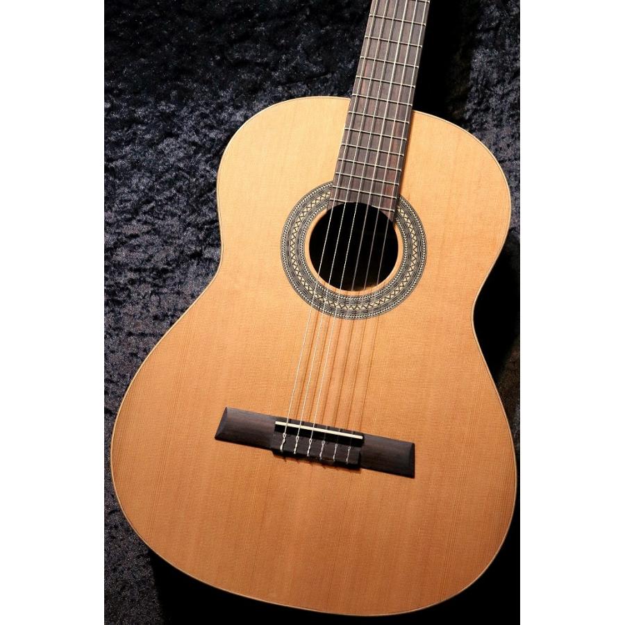 Karl Hofner 【小物5点付き!】HZ27 杉単板 【ドイツ製】【格式の高さと 