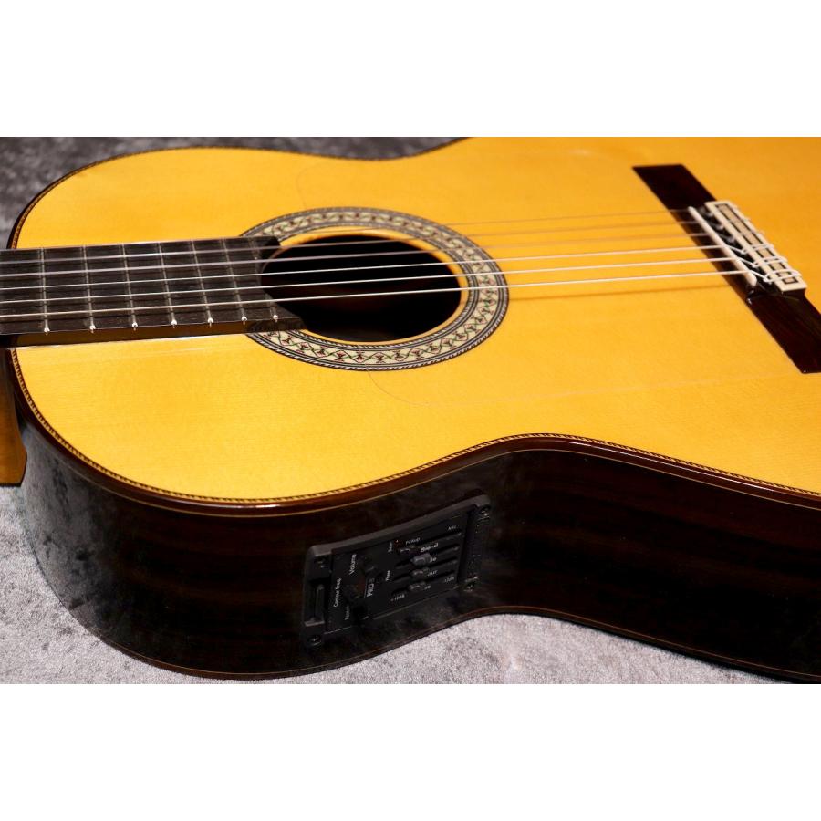 Juan Hernandez 【特典有】Profesor Flamenca Negra w/P.U 松 / ローズ 【虎杢バック】【池袋店在庫品】の画像