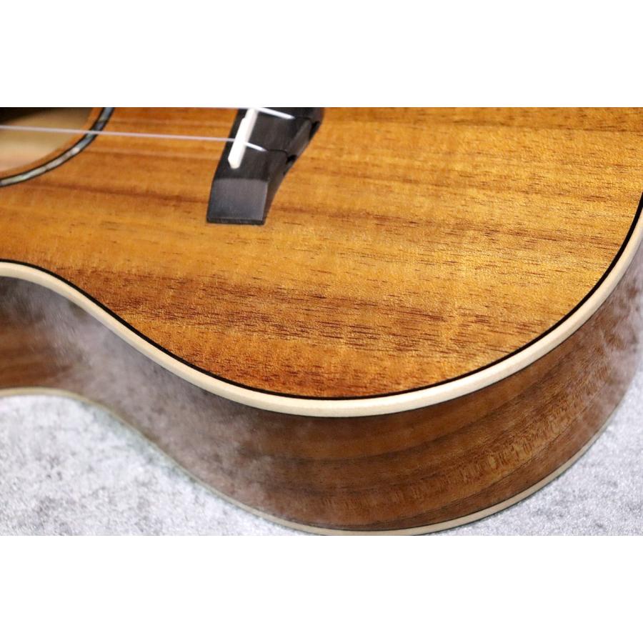 BIG ISLAND KM-CTG #250016【コンサート】【ハワイアンコア単板】【選定品】【池袋店在庫品】_4