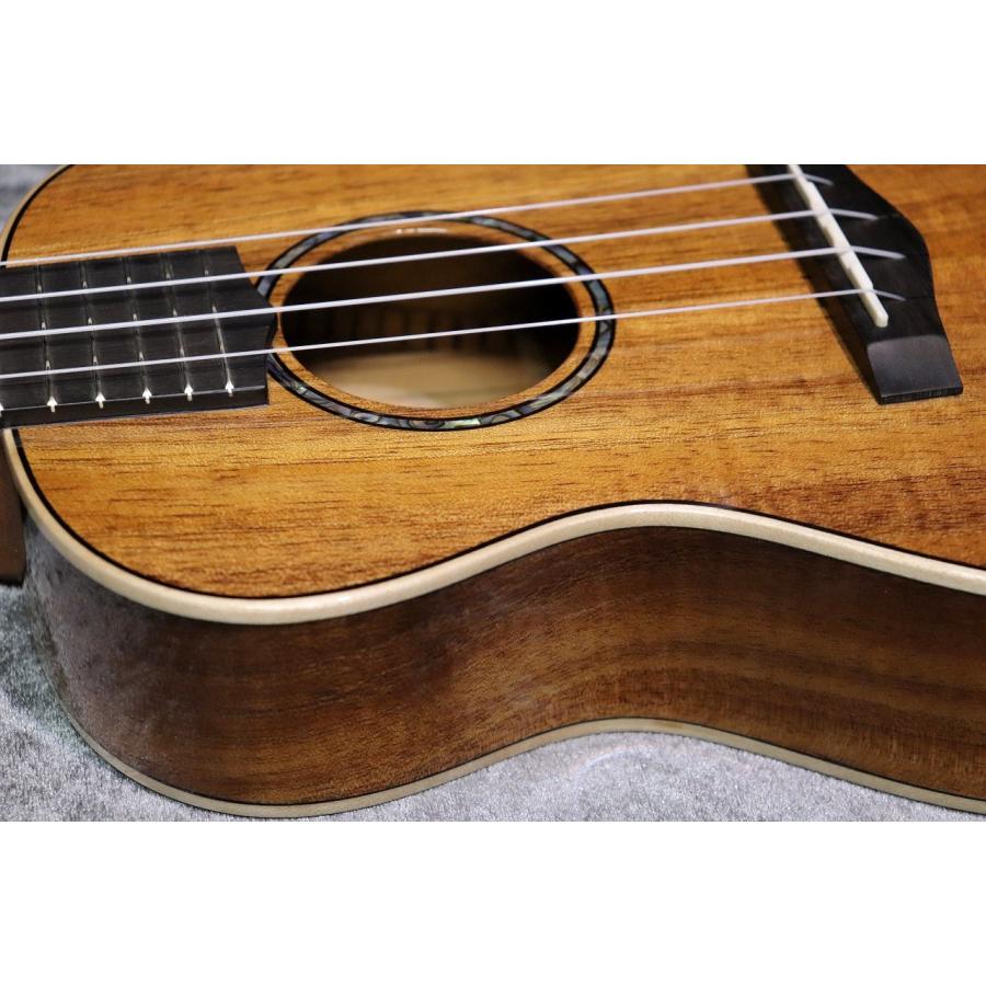 BIG ISLAND KM-CTG #250016【コンサート】【ハワイアンコア単板】【選定品】【池袋店在庫品】_5
