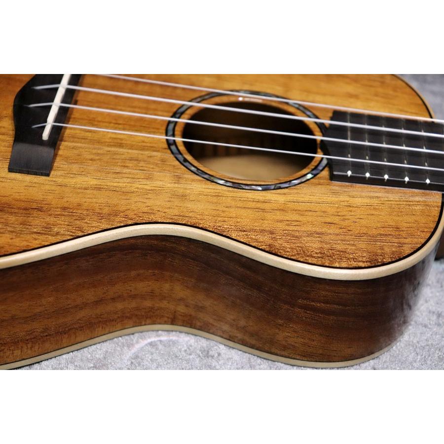 BIG ISLAND KM-CTG #250016【コンサート】【ハワイアンコア単板】【選定品】【池袋店在庫品】_6