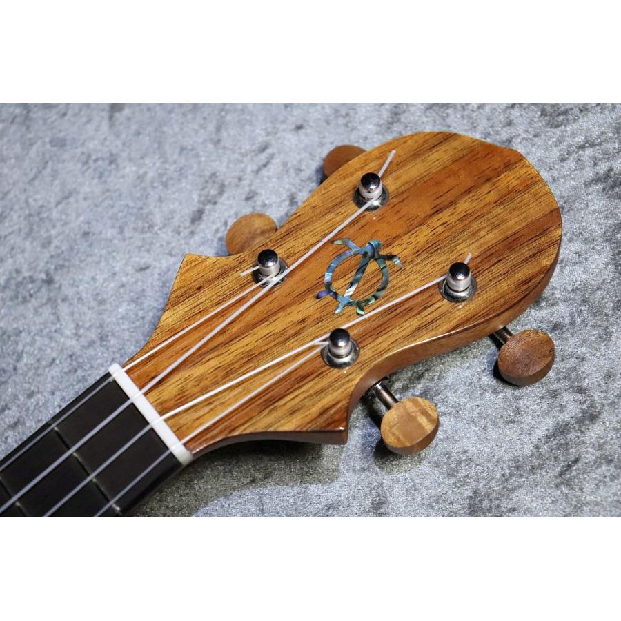 BIG ISLAND KM-CTG #250016【コンサート】【ハワイアンコア単板】【選定品】【池袋店在庫品】_7