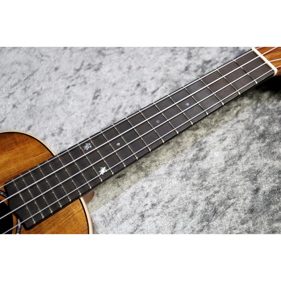 BIG ISLAND KM-CTG #250016【コンサート】【ハワイアンコア単板】【選定品】【池袋店在庫品】_8