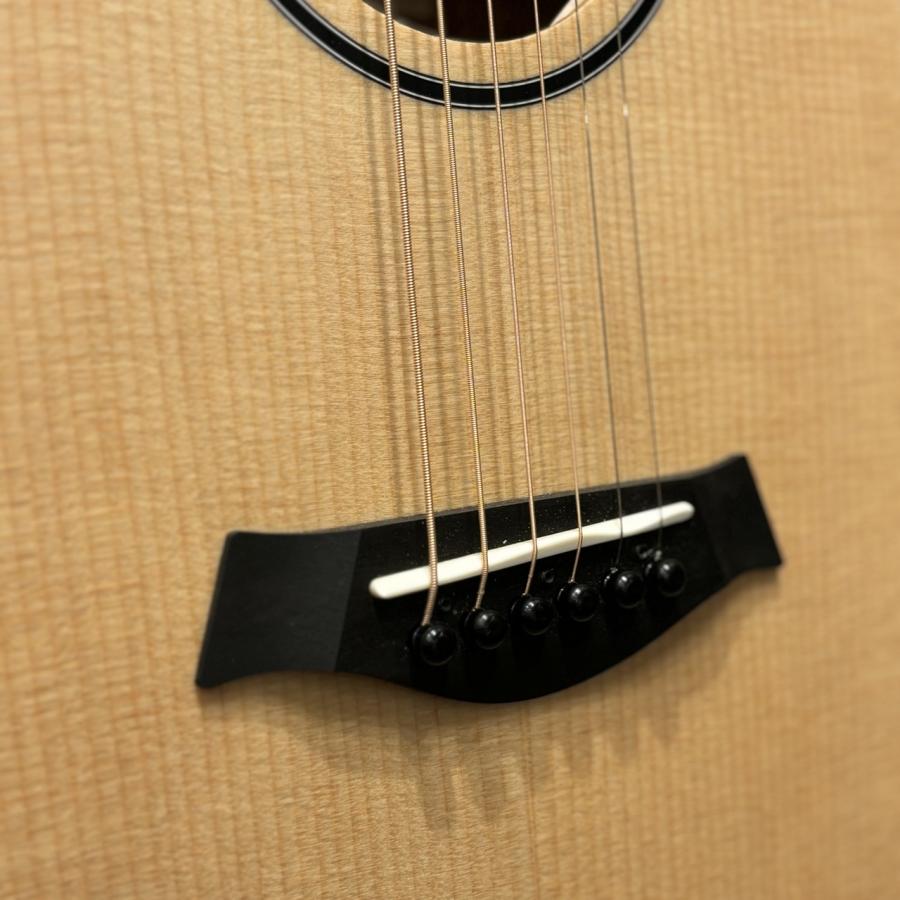 Taylor BT1e 【送料当社負担・最大48回分割無金利】【G-CLUB UMEDA