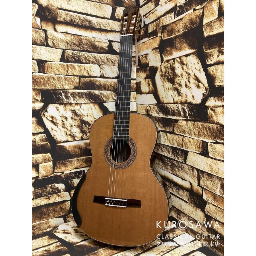 William Falkiner ウィリアム・フォルキナー ラティスブレーシング杉・ローズウッド 新作 【日本総本店2F 在庫品】の画像