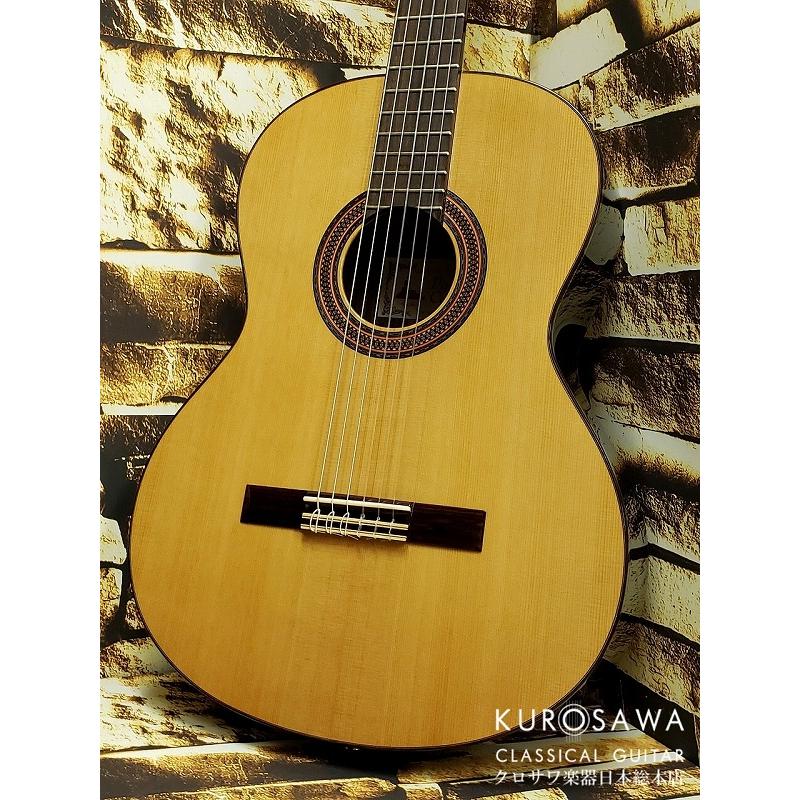 Paco Castillo パコ・カスティージョ CTM 203NE C 杉・ローズウッド【Narrow Neck】【日本総本店2F在庫品】の画像