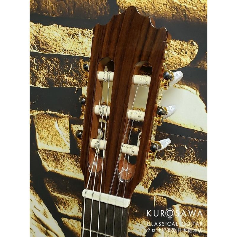 Paco Castillo パコ・カスティージョ CTM 203NE C 杉・ローズウッド【Narrow Neck】【日本総本店2F在庫品】の画像
