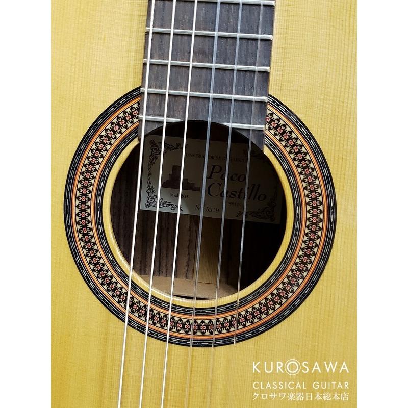 Paco Castillo パコ・カスティージョ CTM 203NE C 杉・ローズウッド【Narrow Neck】【日本総本店2F在庫品】の画像