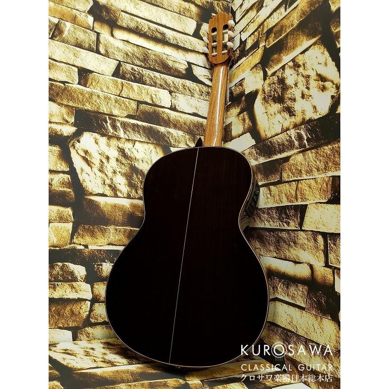 Paco Castillo パコ・カスティージョ CTM 203NE C 杉・ローズウッド【Narrow Neck】【日本総本店2F在庫品】の画像