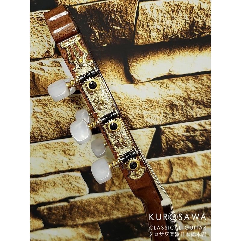 Paco Castillo パコ・カスティージョ CTM 203NE C 杉・ローズウッド【Narrow Neck】【日本総本店2F在庫品】の画像