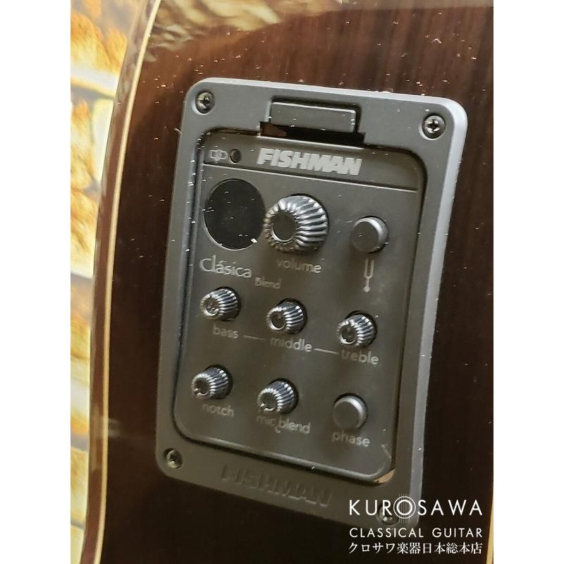 Paco Castillo パコ・カスティージョ CTM 203NE C 杉・ローズウッド【Narrow Neck】【日本総本店2F在庫品】の画像
