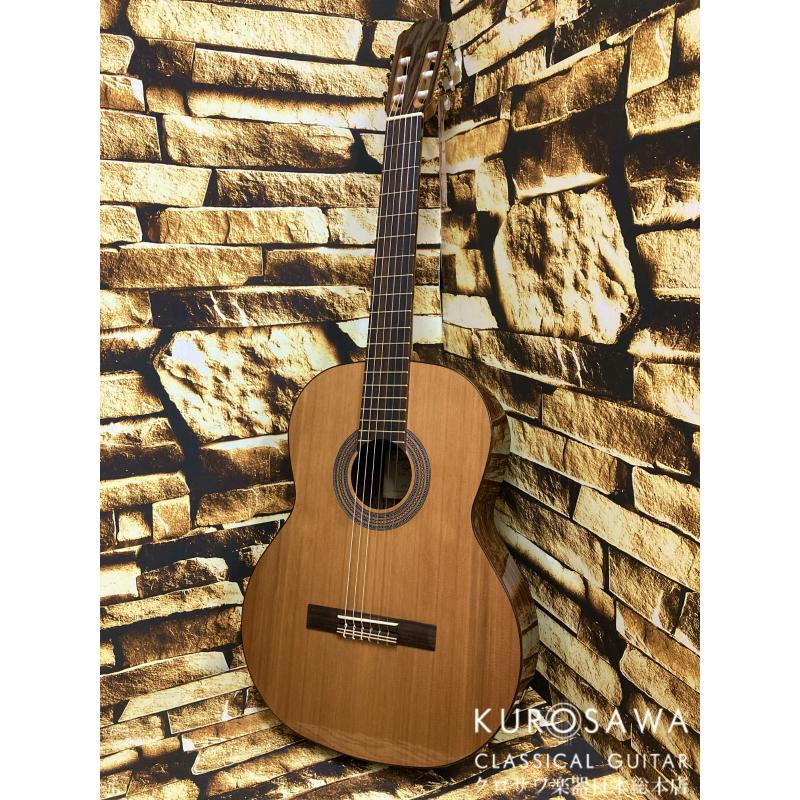 Orpheus Valley Guitars オルフェウス・ヴァレー・ギターズ F65C 杉 