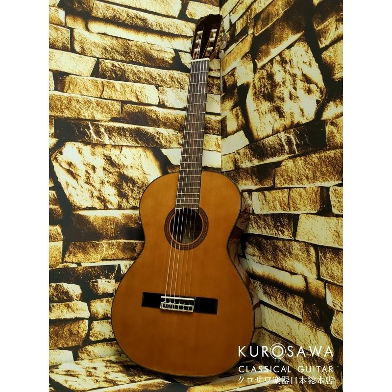 ARIA アリア A20-58 ミニギター【日本総本店2F 在庫品】 | sport-u.com