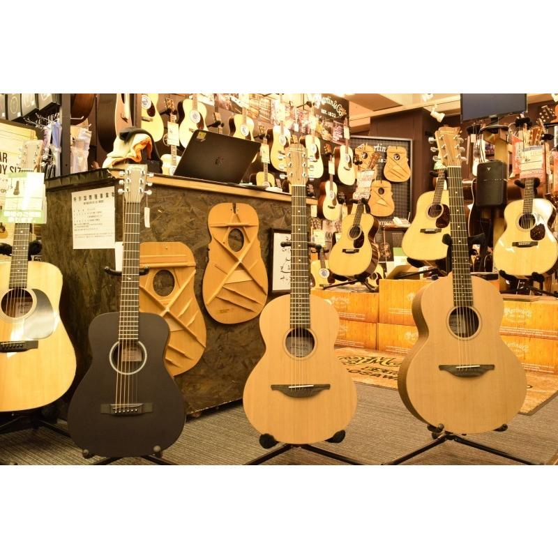 Sheeran by Lowden THE W02【エドシーラン×ローデン Lowden】【待望の