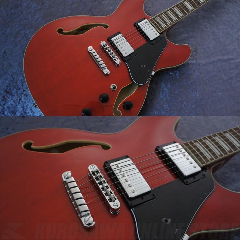 Ibanez AS73-TCD【送料無料】(ご予約受付中)【ONLINE STORE】の画像