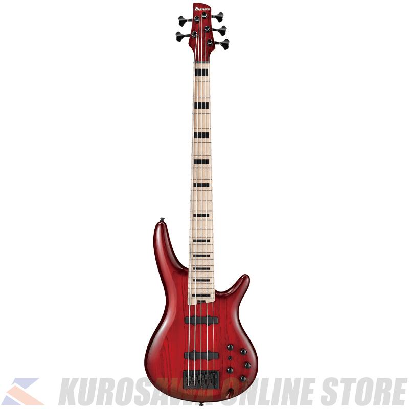 Ibanez ANB205-TWB 【送料無料】(ご予約受付中)【ONLINE STORE】