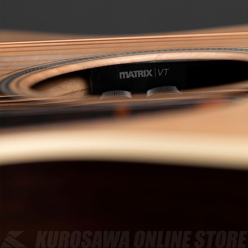 Martin GPC-16E Rosewood【送料無料】 《Martin弦3セット\u0026高性能シールドプレゼント！》(ご予約受付中) 【ONLINE STORE】の画像