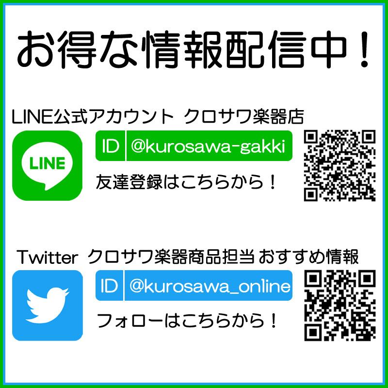 YF-3M/BB エントリーセット2《アコースティックギター初心者入門セット》【送料無料】【ONLINE 【シェード】 STORE】