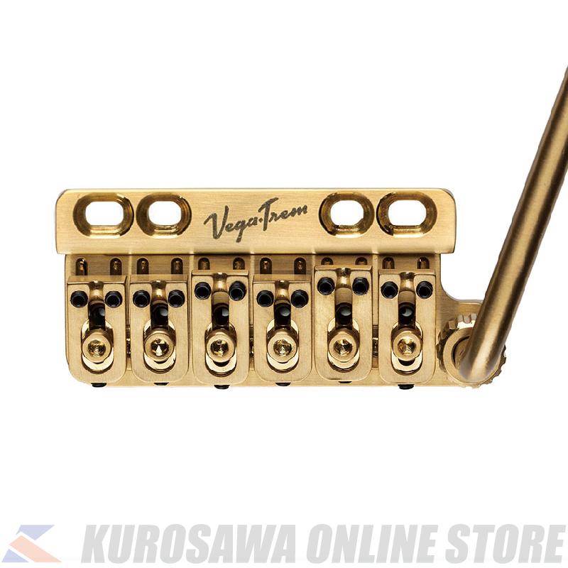 Goldo ( ゴルドー )TLT1N Les Trem Amazon.co.jp: Goldo(ゴルドー) Les Trem LPタイプギター用トレモロ