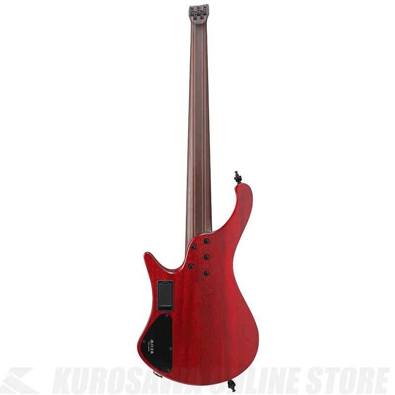 Ibanez EHB1505-SWL《SPOTモデル》【高性能ケーブルプレゼント