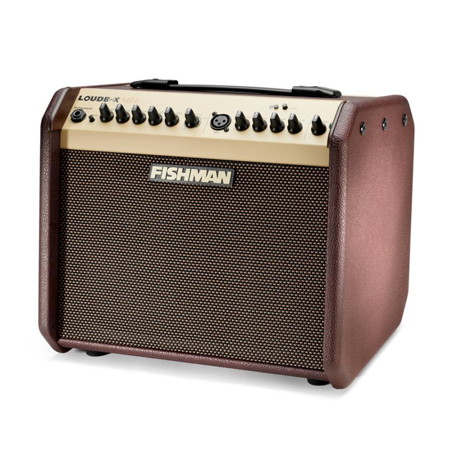 FISHMAN LOUDBOX MINI Bluetooth Amplifier[PRO-LBT-JA5] 《アコースティック用アンプ》 【送料当社負担】【ONLINE STORE】の画像
