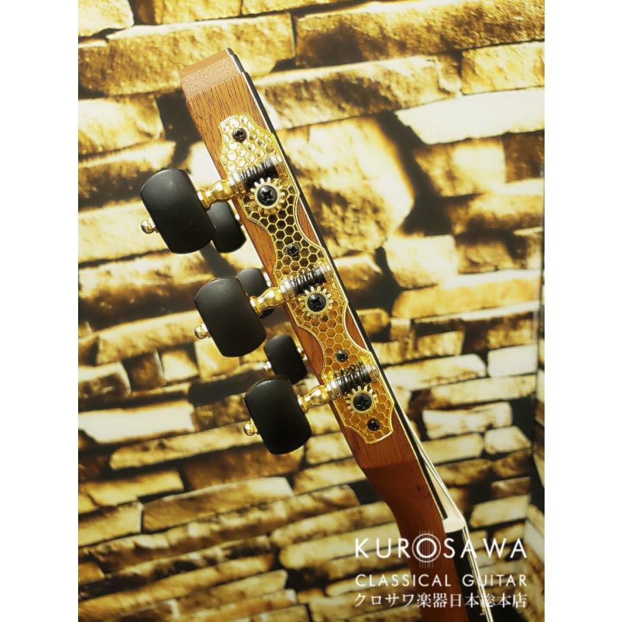 Karl Hofner カール・ヘフナー Classical Master Series HM89-S-0 松 