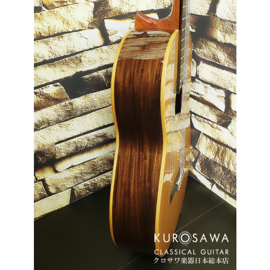 Karl Hofner カール・ヘフナー Classic Series HZ27 杉単板・ローズ 