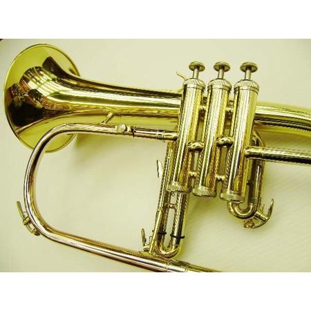 J.Michael FG500(マンスリープレゼント)【ご予約受付中】 : クロサワ