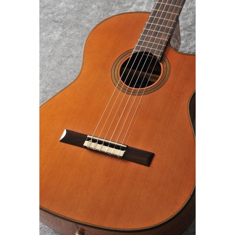 Cordoba Series Fusion 12 Natural (クラシックギター) (送料無料)【ONLINE STORE】