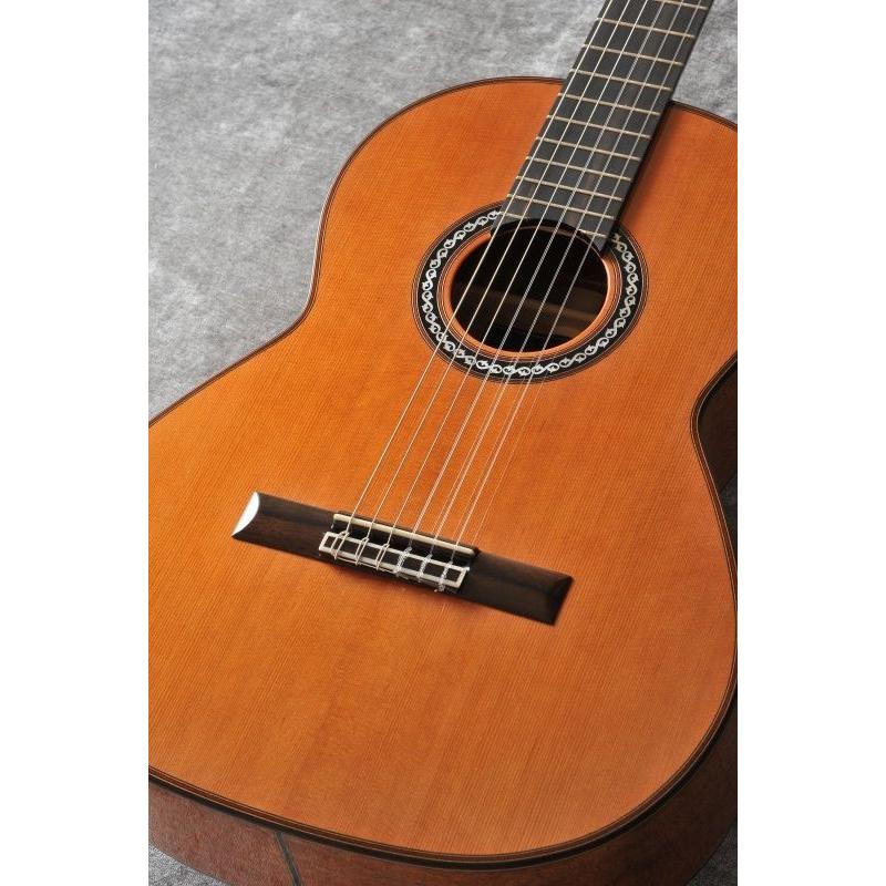 Cordoba Series Luthier C9 Parlor (クラシックギター)（ご予約受付中