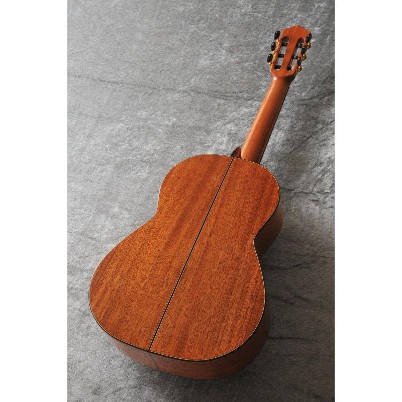 Cordoba Series Luthier C9 Parlor (クラシックギター)（ご予約受付中