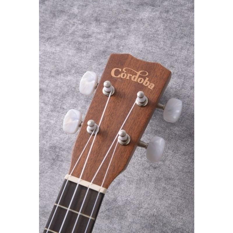 277035532_0