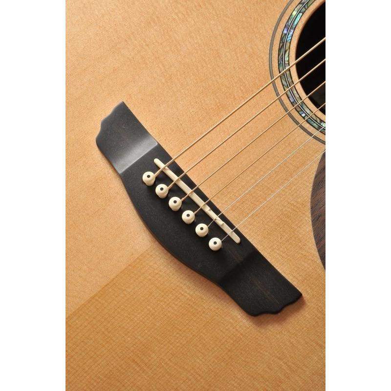 《期間限定！ポイントアップ！》Morris FH-102III (Natural) (アコースティックギター)【ONLINESTORE】_2