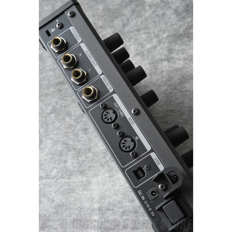 Pioneer DJ×Dave Smith Instruments TORAIZ AS-1(モノフォニック
