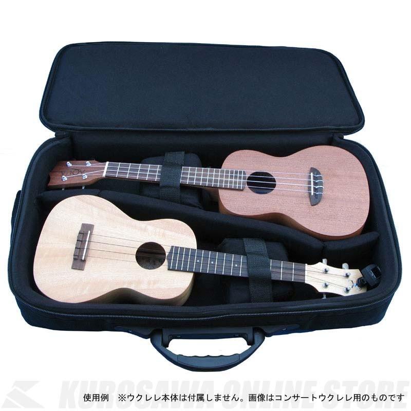 （エコメルカリ便発送）（ジャンク）　ウクレレ　ケース　弦　のセット エコメルカリ便発送）（ジャンク） ウクレレ ケース 弦 のセット