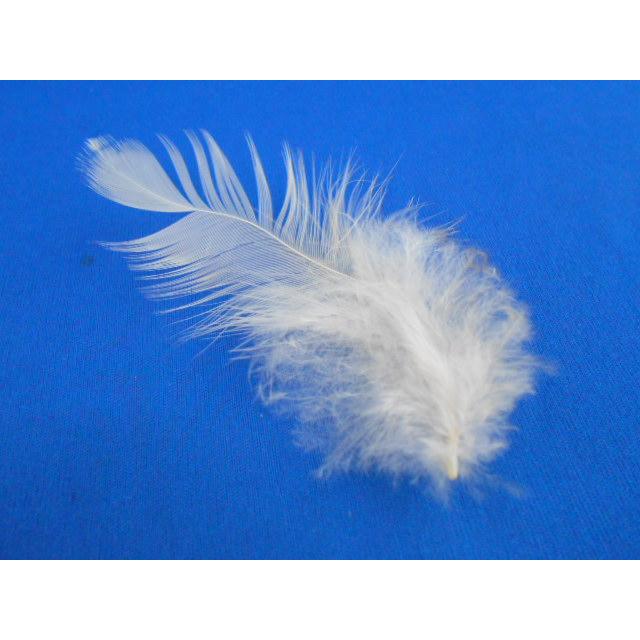 CD/中島美嘉/RESISTANCE（初回完全限定生産）/中古/cd22576 |  | 06