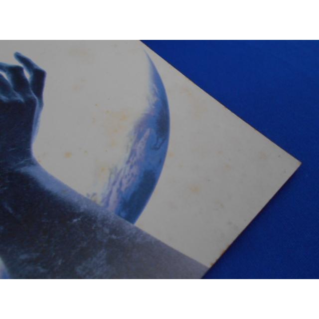 CD/CHAGE & ASKA/TREE(初回限定盤)/中古/cd22595 : 侍ネットワーク
