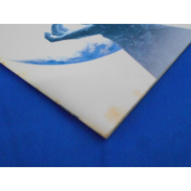 CD/CHAGE & ASKA/TREE(初回限定盤)/中古/cd22595 : 侍ネットワーク