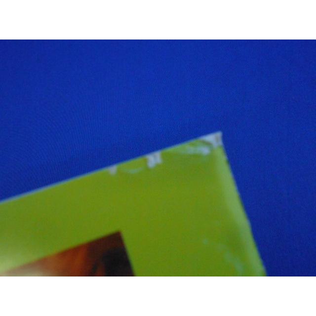 CD/BELINDA CARLISLE ベリンダ・カーライル/Runaway Horses ランナウェイ・ホーシズ/中古/cd22760 |  | 01