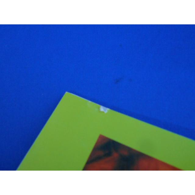 CD/BELINDA CARLISLE ベリンダ・カーライル/Runaway Horses ランナウェイ・ホーシズ/中古/cd22760 |  | 02