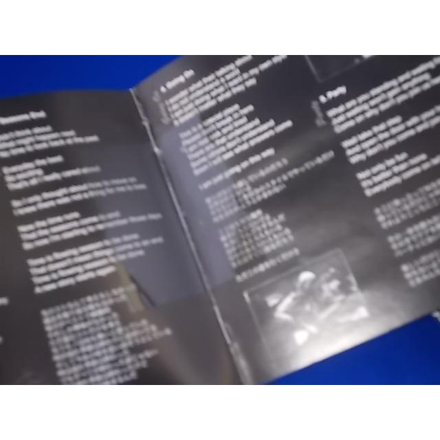 CD/POTSHOT ポットショット/Dance to the POTSHOT record/中古/cd23289