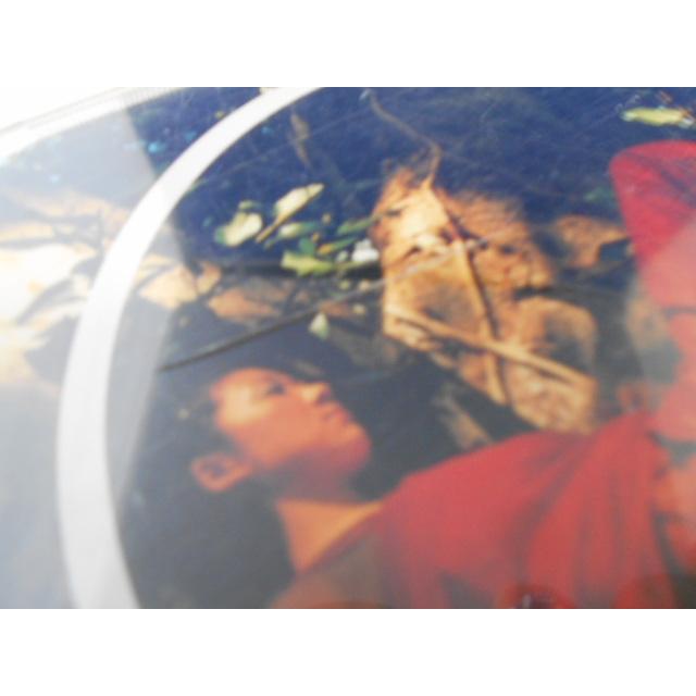CD/Misia ミーシャ/Mother Father Brother Sister/中古/cd23879 : 侍