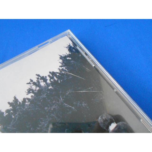 CD/puddle of mudd パドル・オブ・マッド/come clean カム・クリーン [限定盤]/中古/cd24237 |  | 01