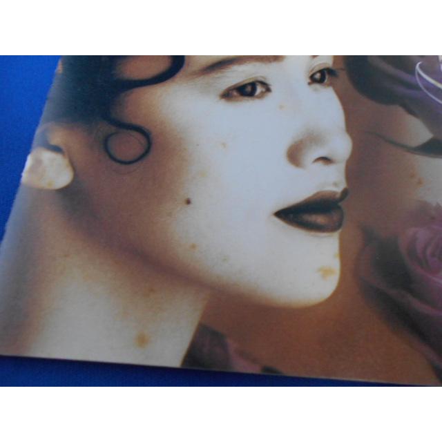 CD/工藤静香 くどうしずか/Trinity トリニティ/中古/cd24502 |  | 01