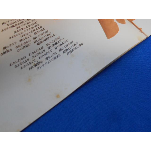 CD/工藤静香 くどうしずか/Trinity トリニティ/中古/cd24502 |  | 02