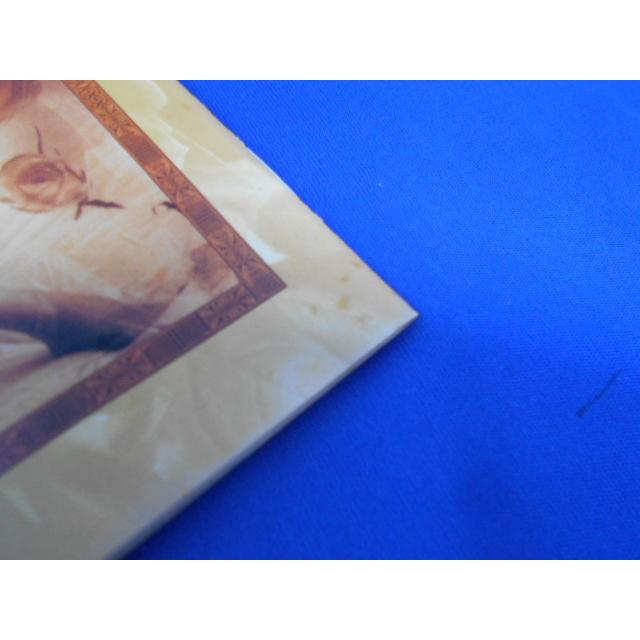 CD/工藤静香 くどうしずか/Trinity トリニティ/中古/cd24502 |  | 03