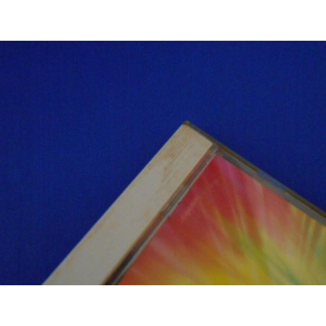 CD/NOW EX ナウ・エックス/オムニバス/中古/cd24675 |  | 01