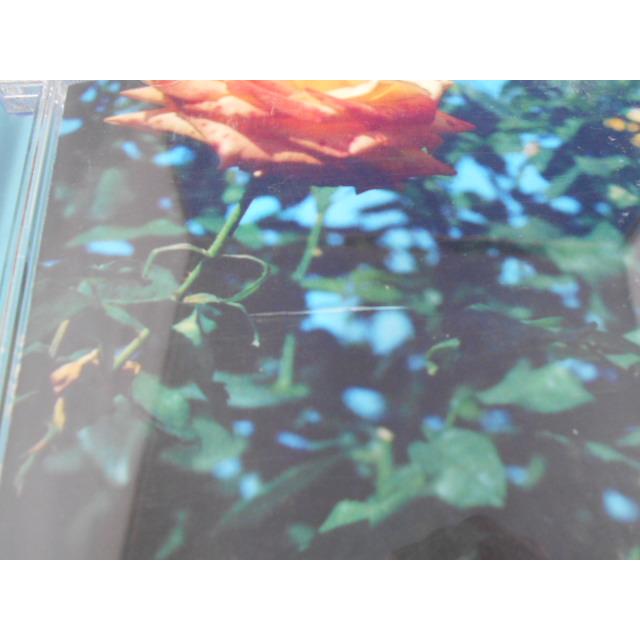 CD/globe グローブ/Relation リレーション/中古/cd25204 |  | 01