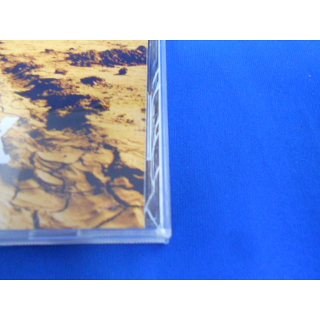 CD/ASIAN DUB FOUNDATION エイジアン・ダブ・ファウンデイション/TANK タンク/中古/cd25216 |  | 01